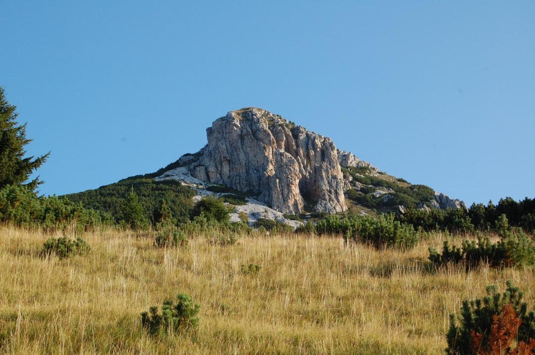 Photo of Others in Montagna