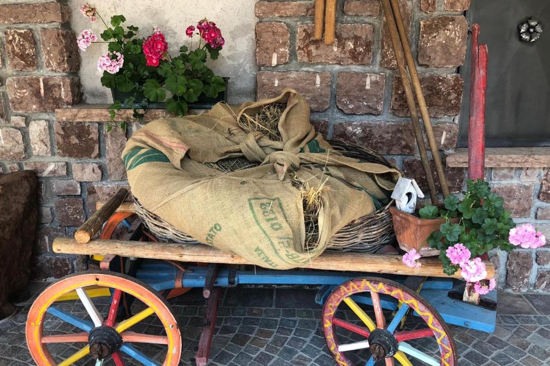 Photo of Others in Molveno