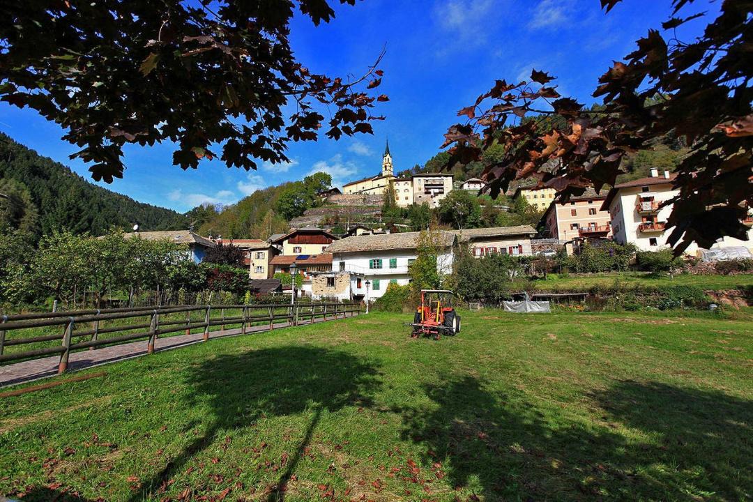 Photo of Others in Castello-Molina di Fiemme