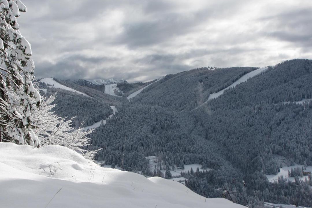 Photo of Others in Folgaria