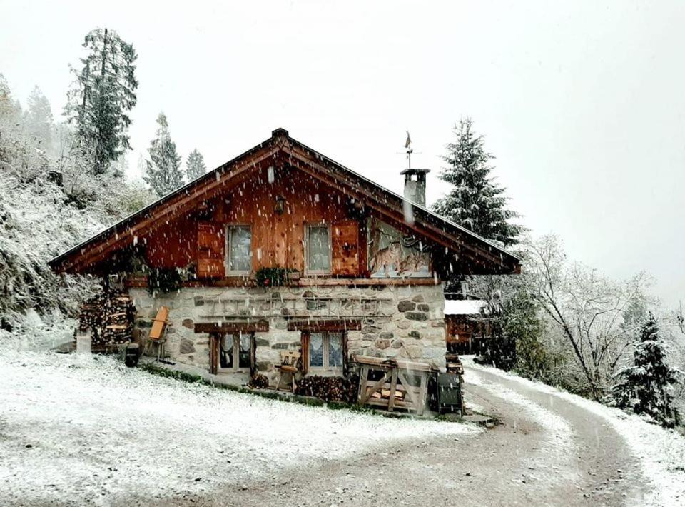 Photo of Buildings in Telve