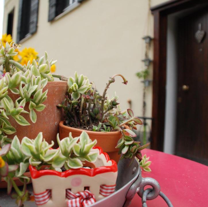 Photo of Others in Rovereto