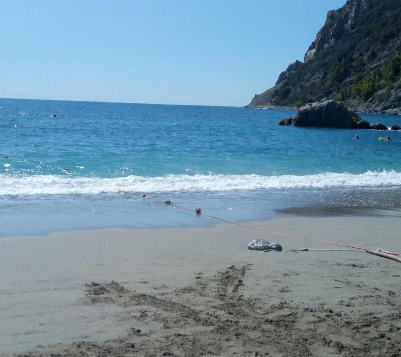 Photo of Others in Cinque Terre