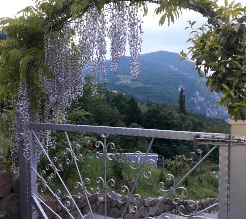 Photo of Others in Salorno
