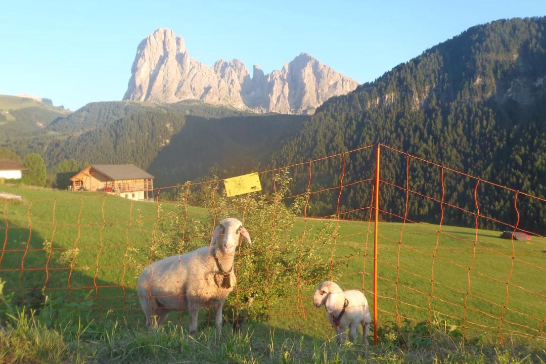 Photo of Others in Ortisei