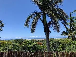 Photo of Others in St. Lucia