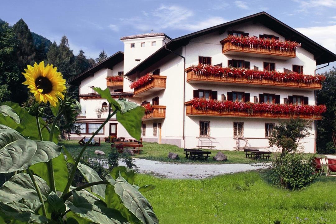 Photo of Others in Montagna