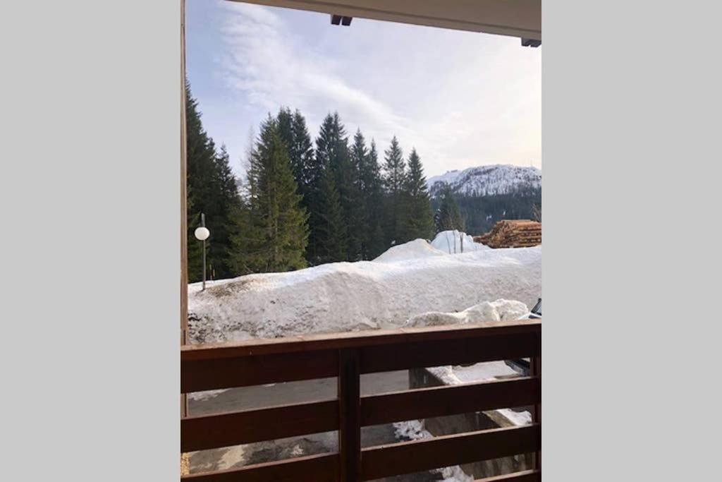 Photo of Patio Balcony in Campo Carlo Magno