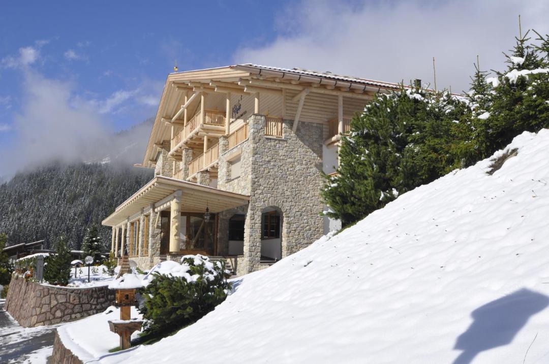 Photo of Others in Selva di Val Gardena
