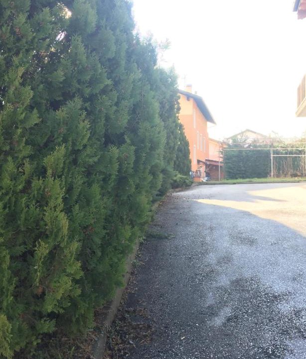 Photo of Outdoor in Ronzo-Chienis