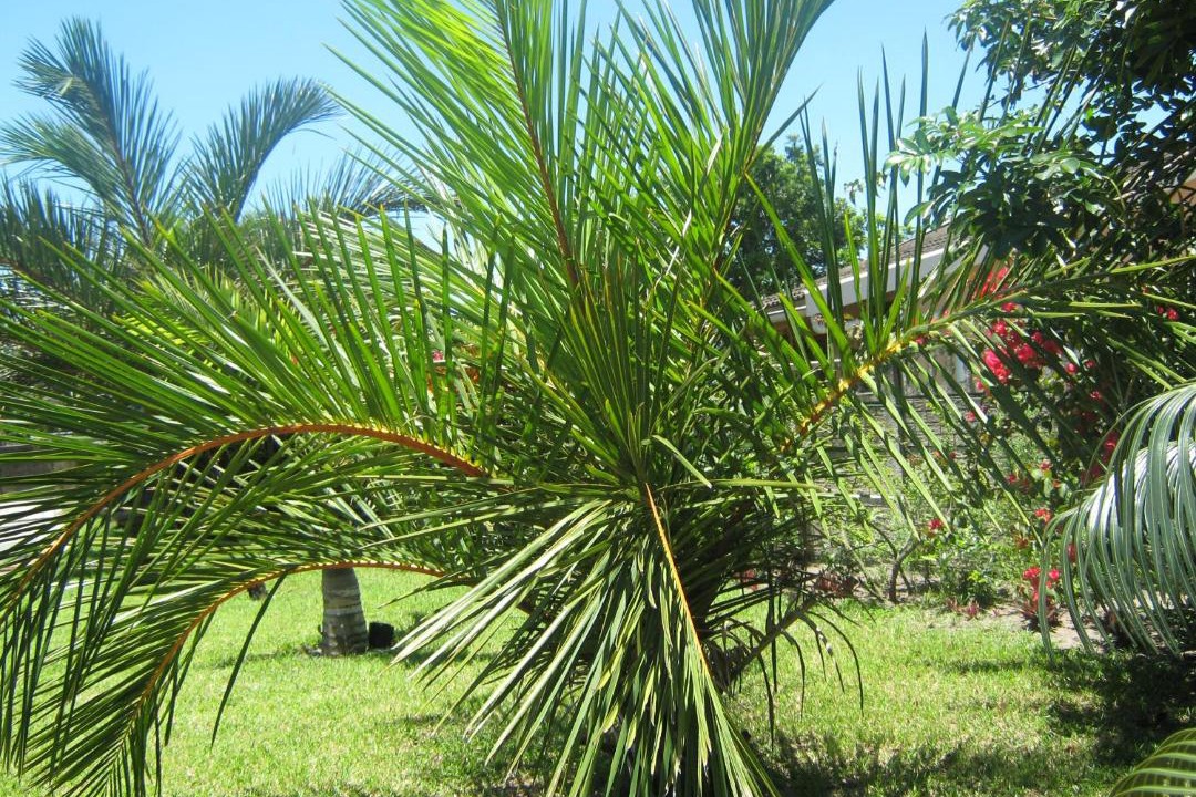 Photo of Others in Richards Bay
