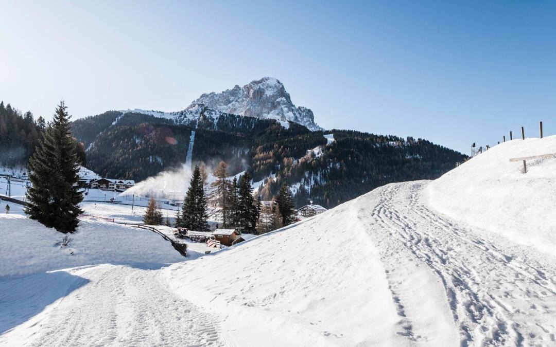 Photo of Others in Selva di Val Gardena