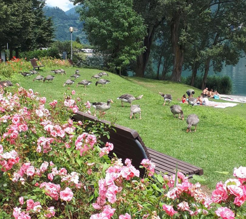 Photo of Others in Susa
