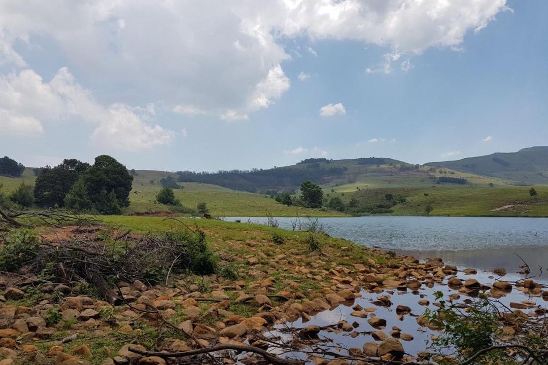 Photo of Others in Emadlangeni