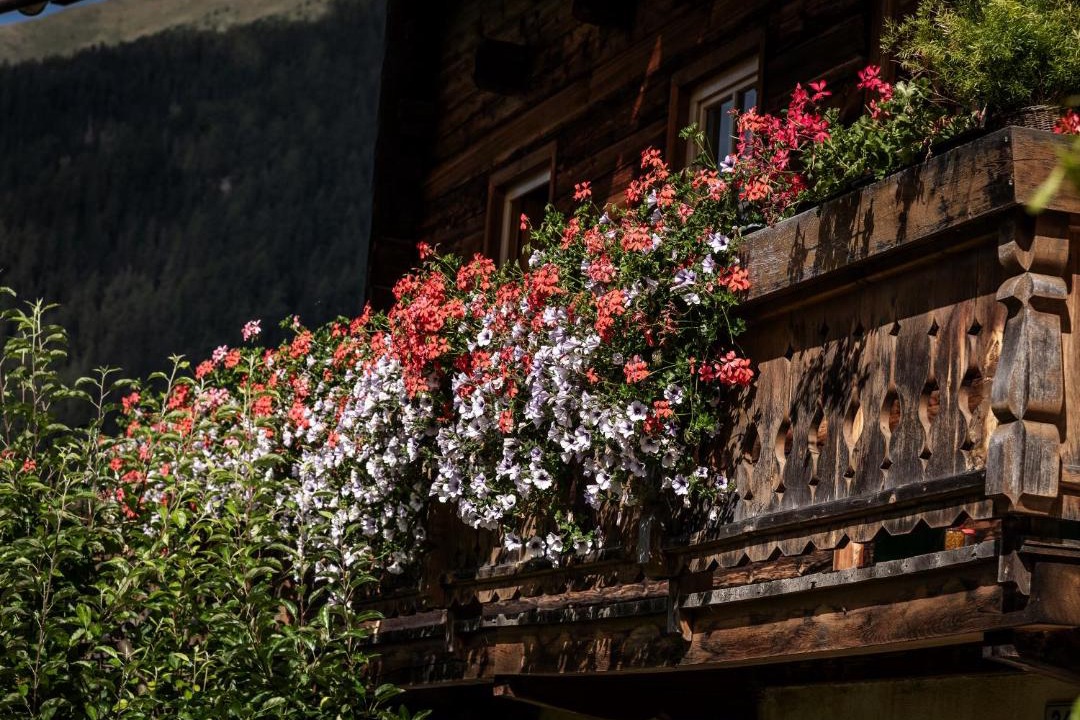 Photo of Others in Valle di Casies