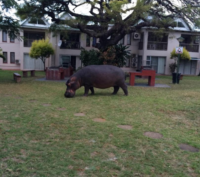 Photo of Others in St. Lucia