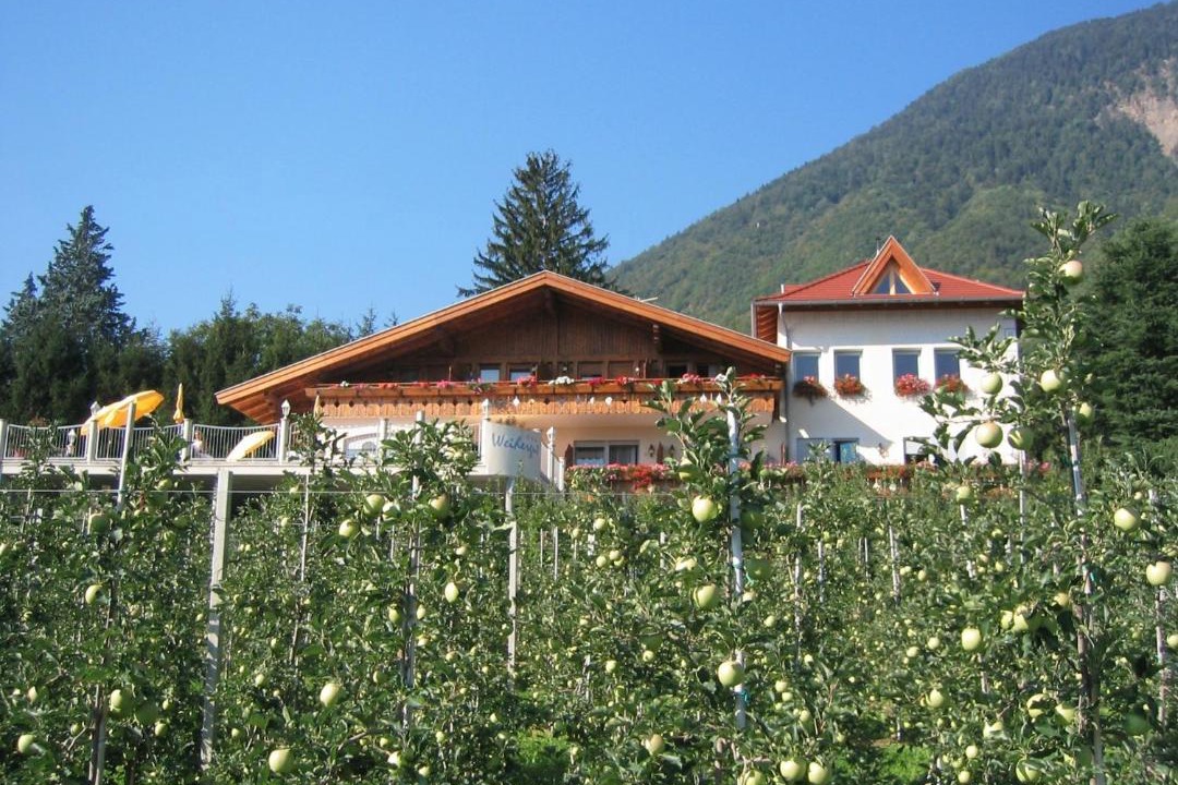 Photo of Others in Cermes