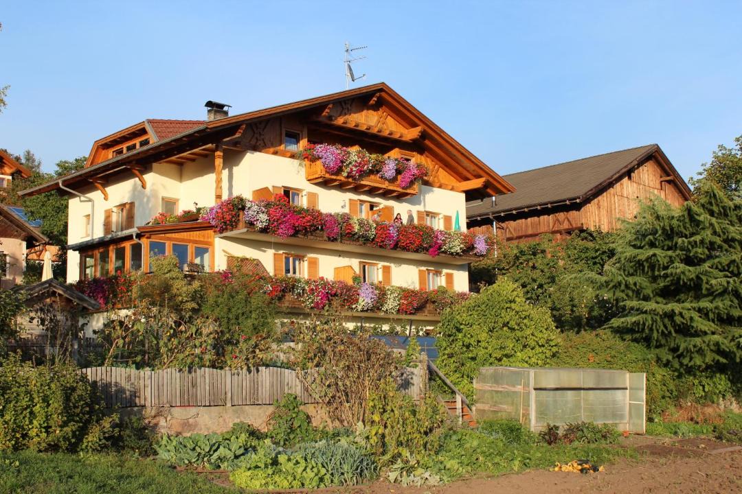 Photo of Others in Salonetto