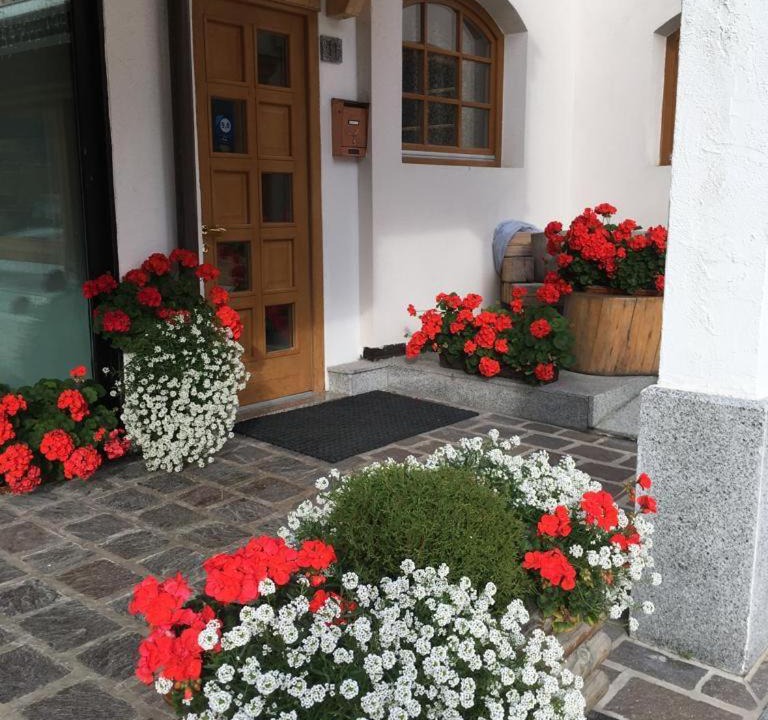 Photo of Others in Madonna di Campiglio
