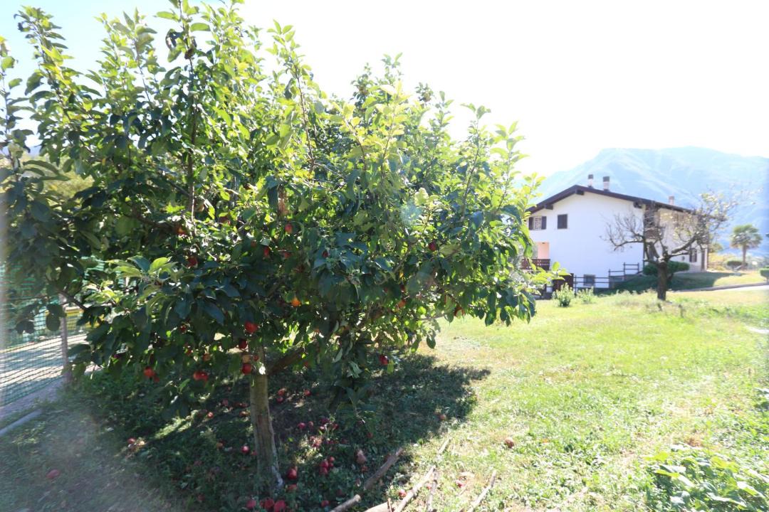 Photo of Others in Pilcante