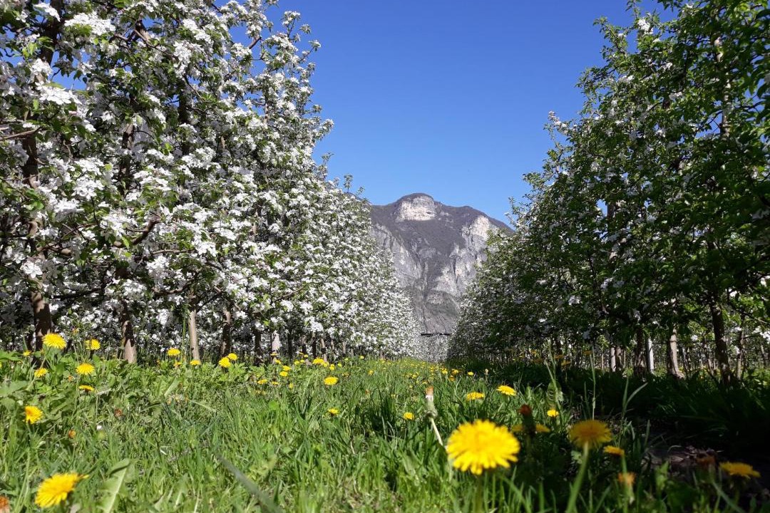 Photo of Outdoor in Nave San Rocco