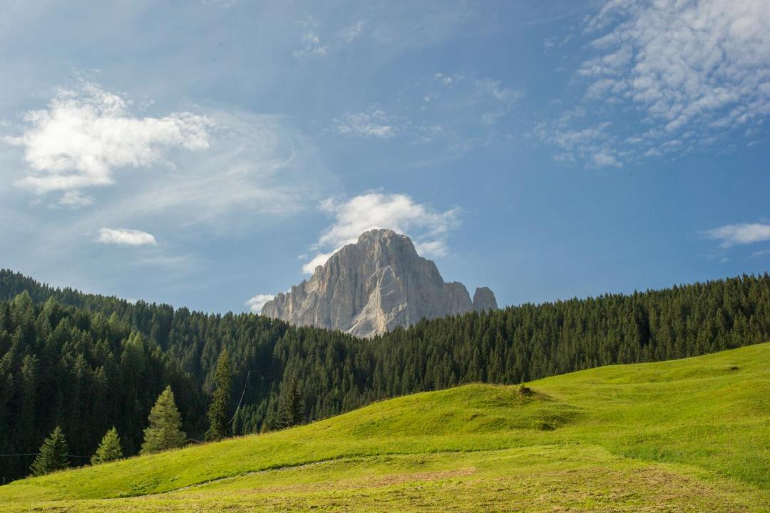 Photo of Others in Selva di Val Gardena