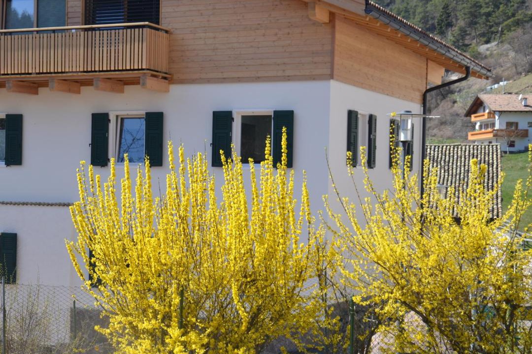 Photo of Buildings in Trodena
