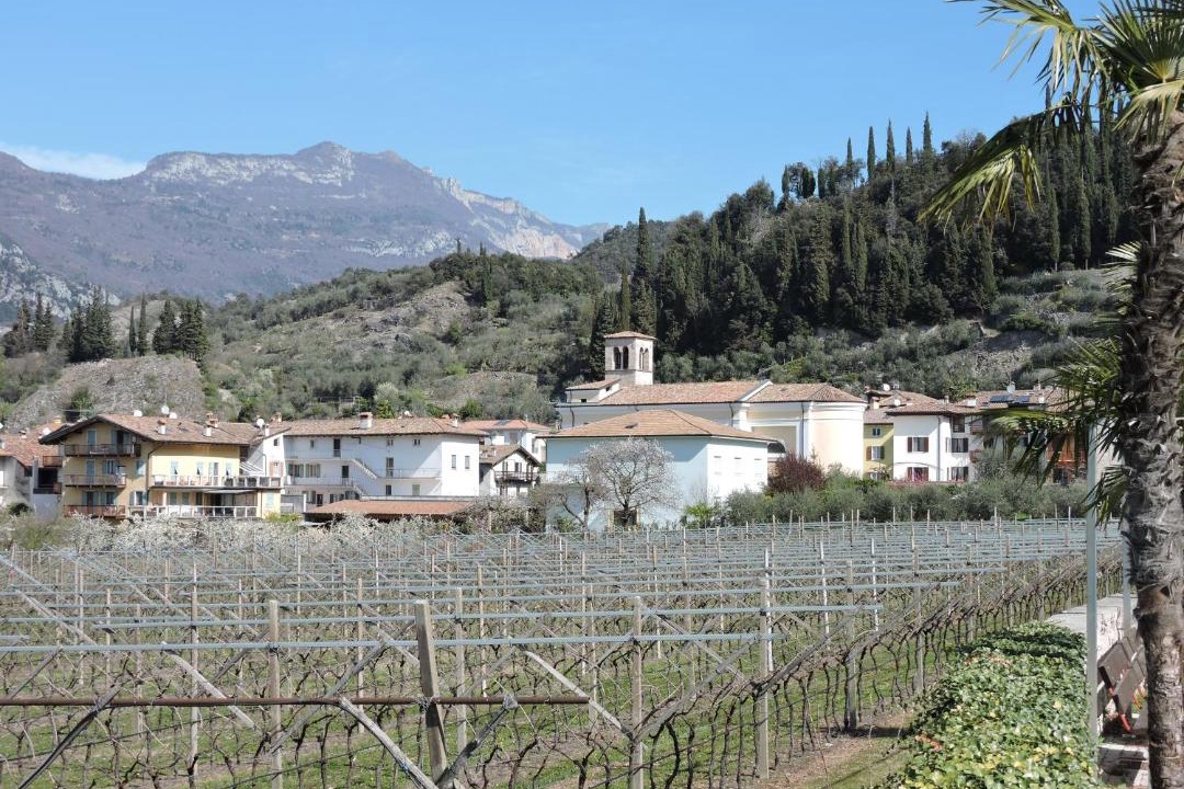 Photo of Buildings in Arco