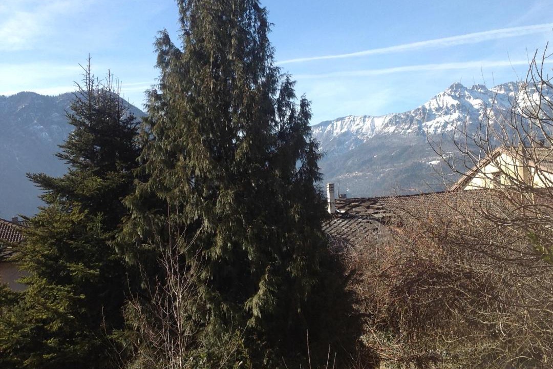 Photo of Others in Levico Terme