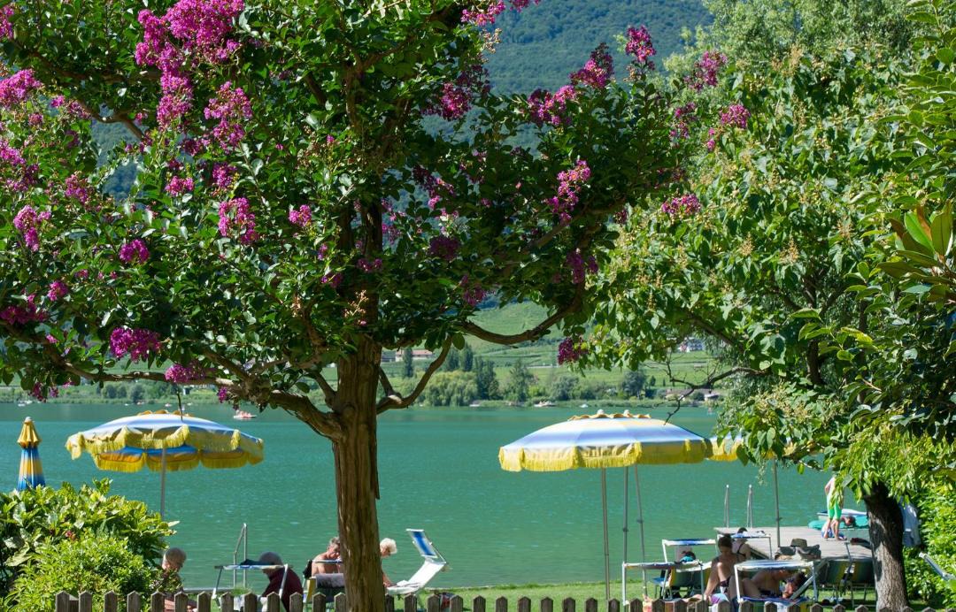 Photo of Others in Campi al Lago