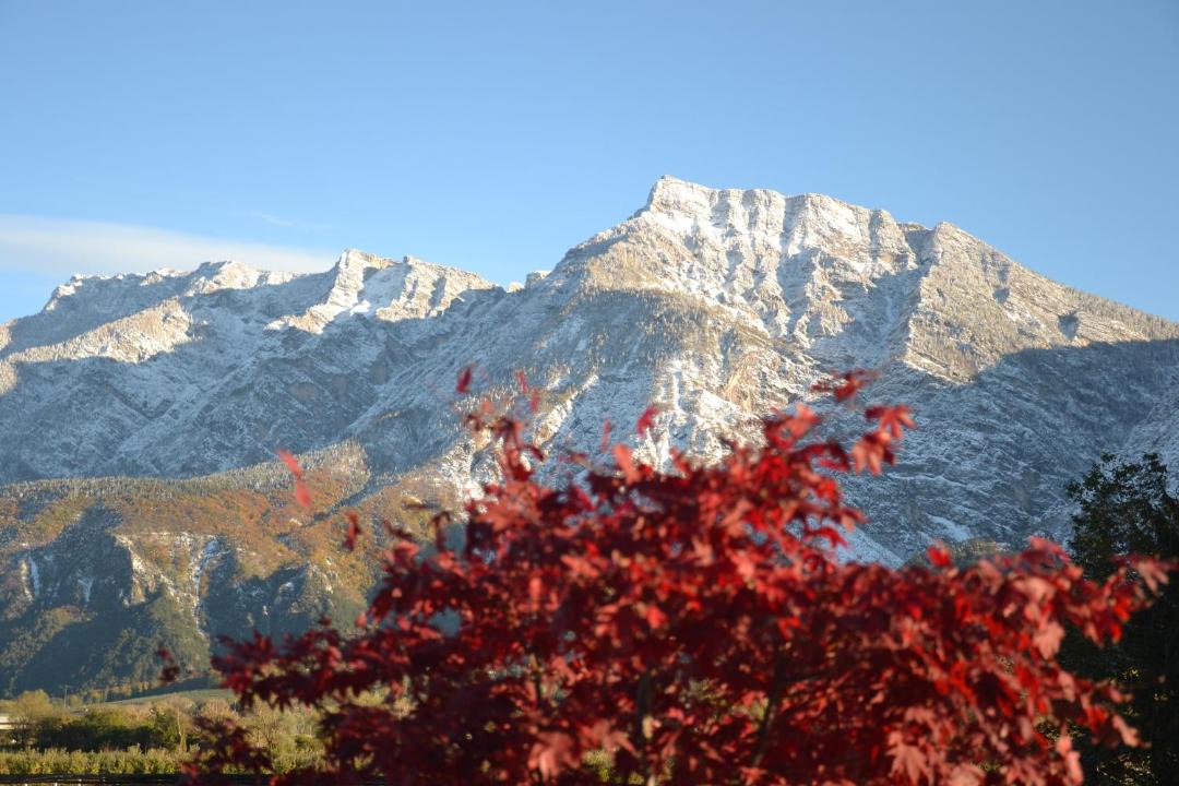 Photo of Others in Levico Terme