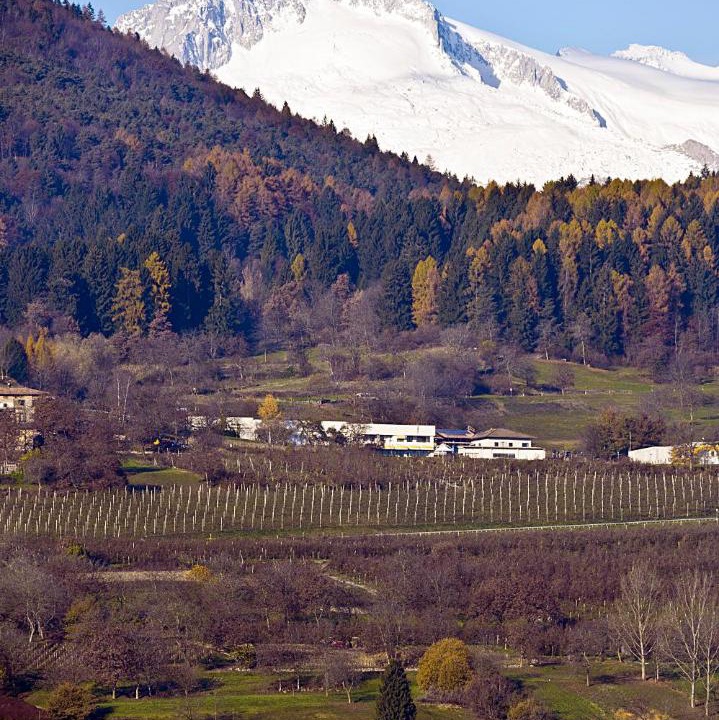 Photo of Others in Bleggio Superiore