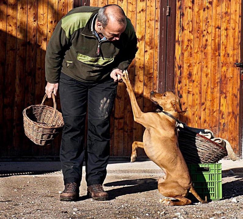 Photo of Others in Bleggio Superiore
