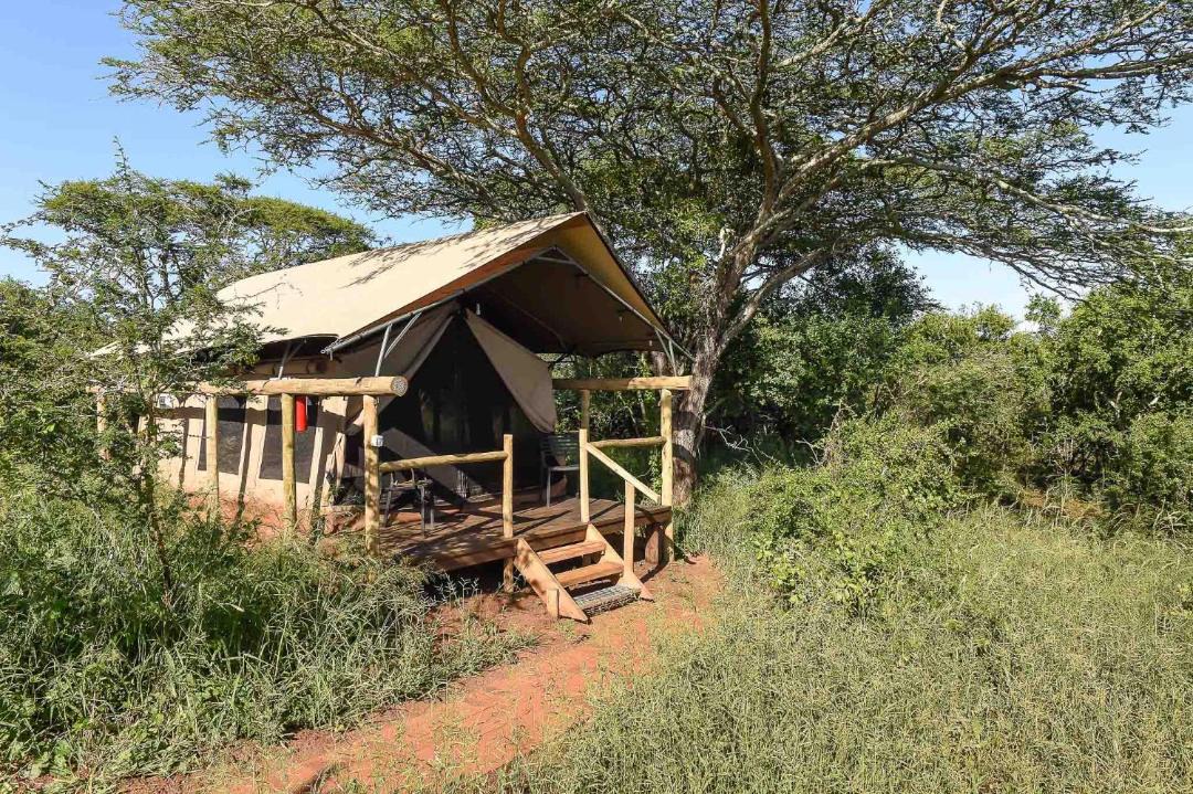 Photo of Others in Hluhluwe