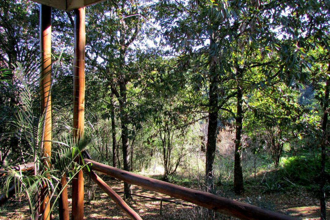 Photo of Others in Karkloof Nature Reserve