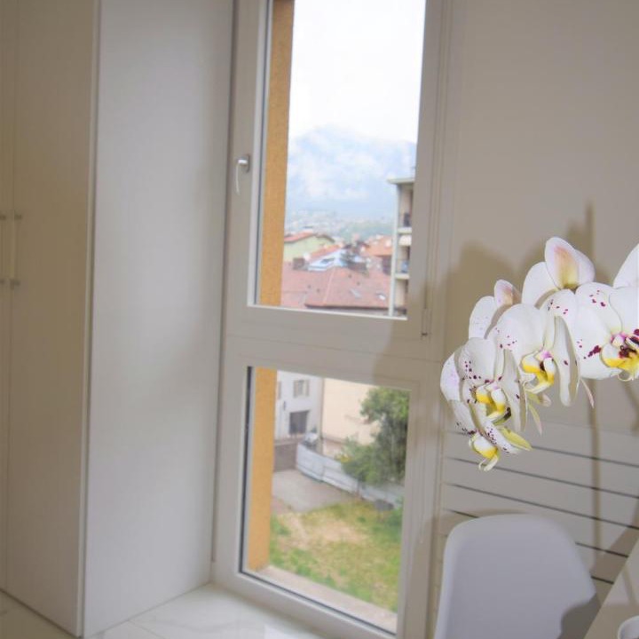 Photo of Others in Trento