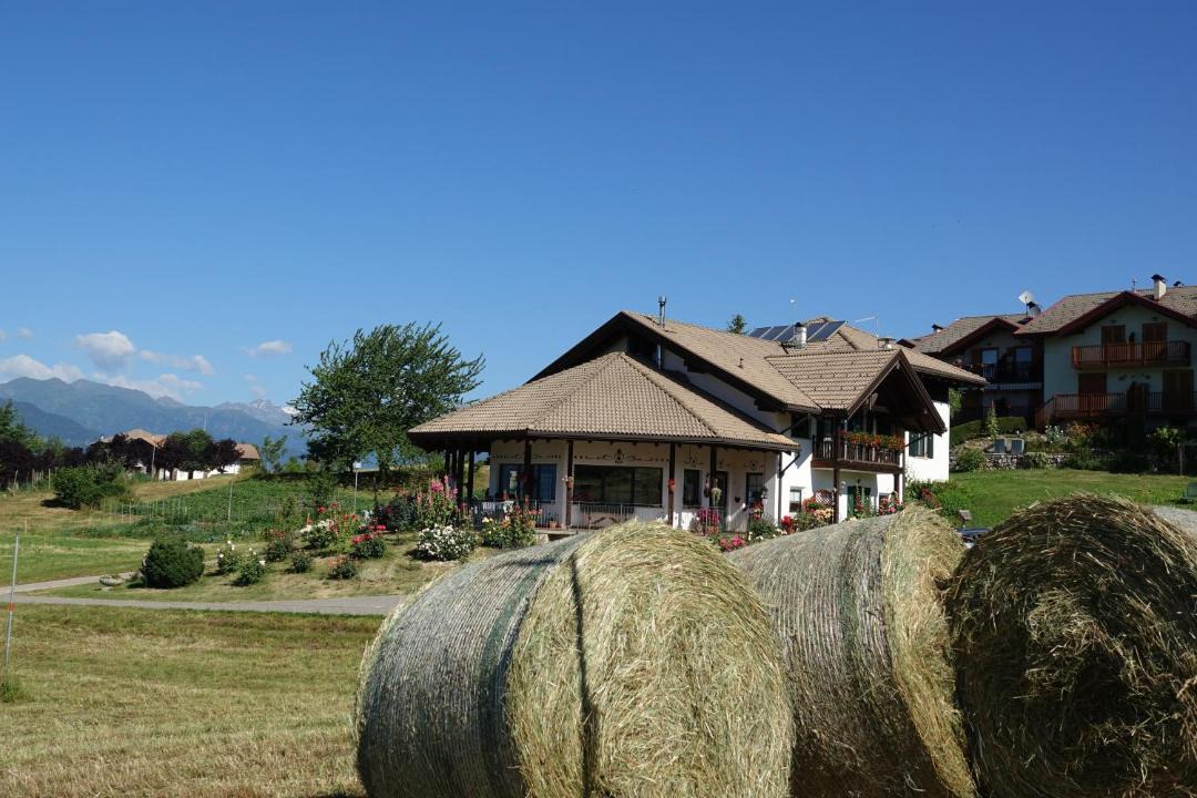 Photo of Others in Sfruz
