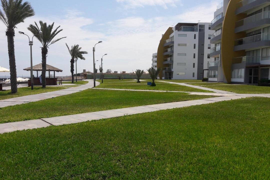 Photo of Buildings in Pisco