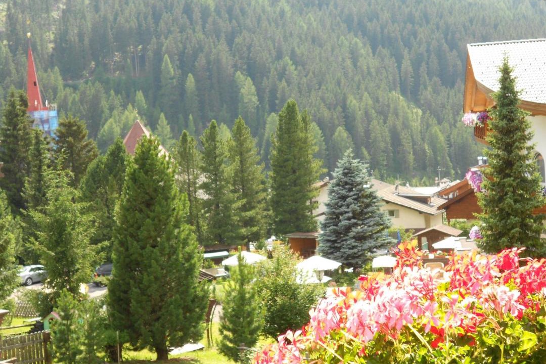 Photo of Others in Selva di Val Gardena