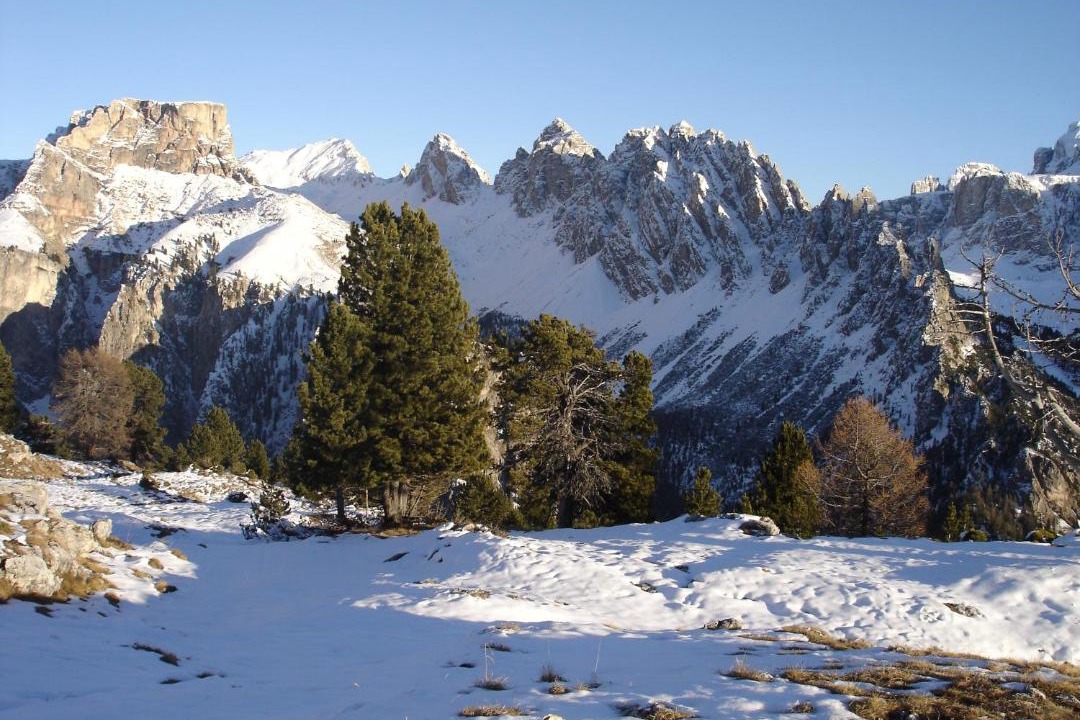 Photo of Others in Selva di Val Gardena