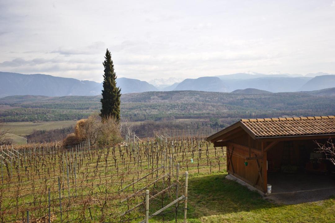 Photo of Others in Pianizza Di Sopra