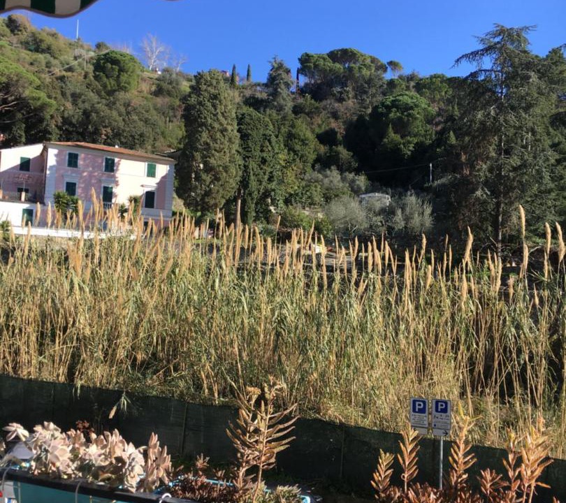 Photo of Others in Cinque Terre