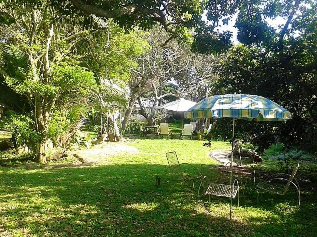 Photo of Others in Shelly Beach