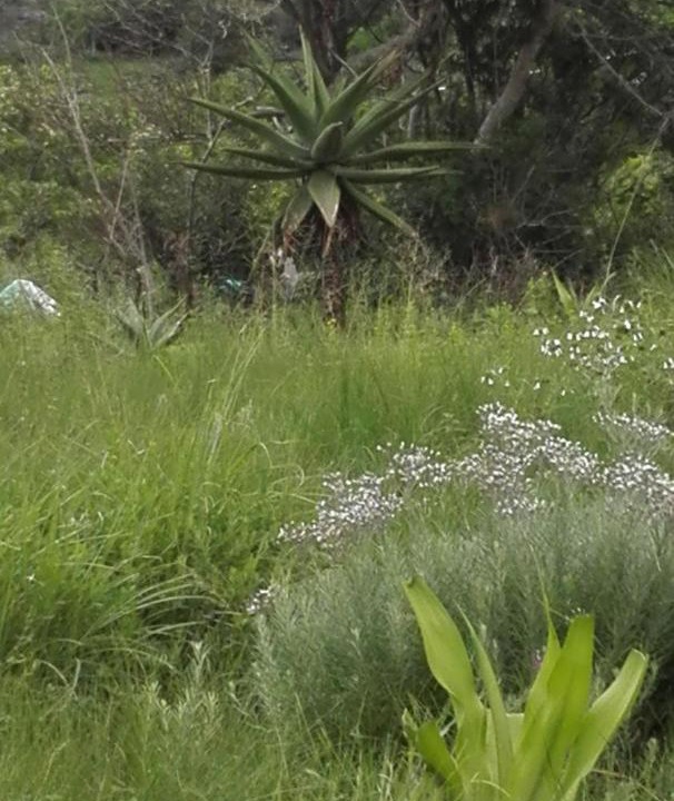 Photo of Outdoor in Hibiscus Coast