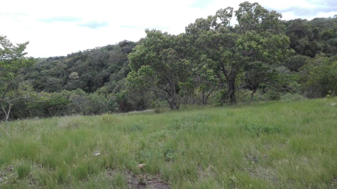 Photo of Outdoor in Hibiscus Coast