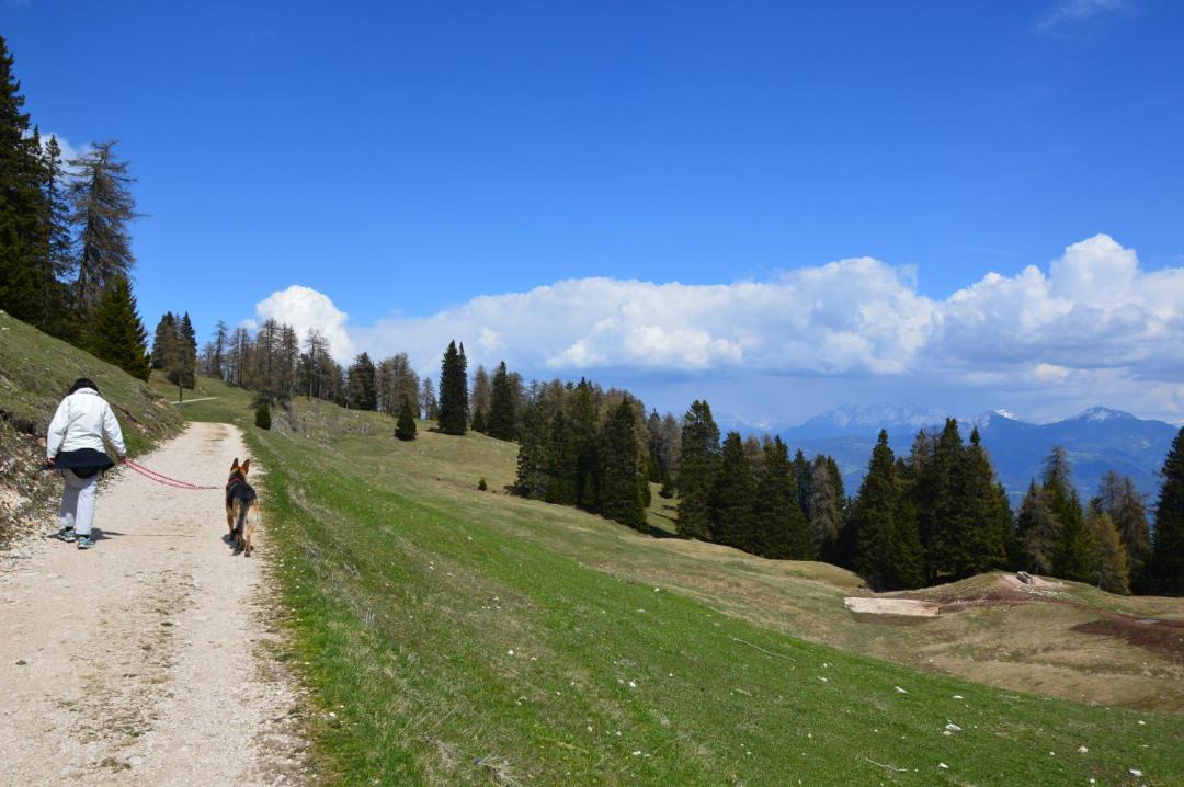 Photo of Others in Termeno Sulla Strada del Vino
