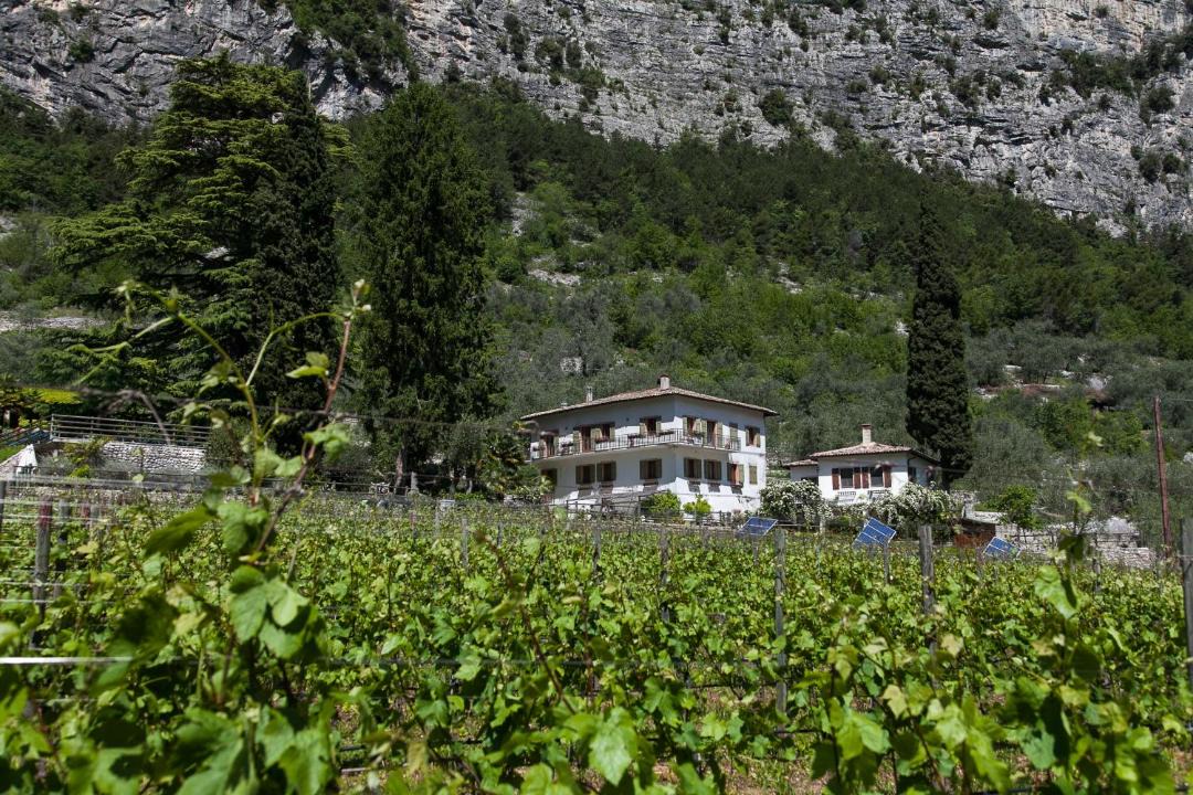 Photo of Others in Ceniga