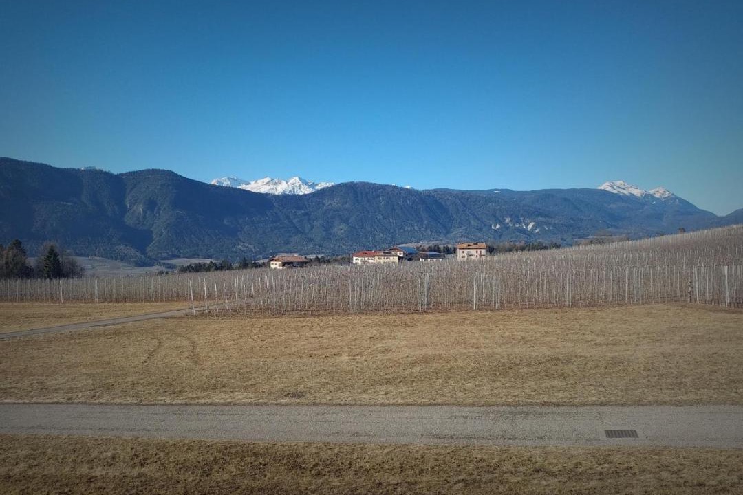 Photo of Outdoor in Romeno