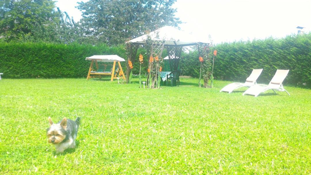 Photo of Outdoor in Fai della Paganella
