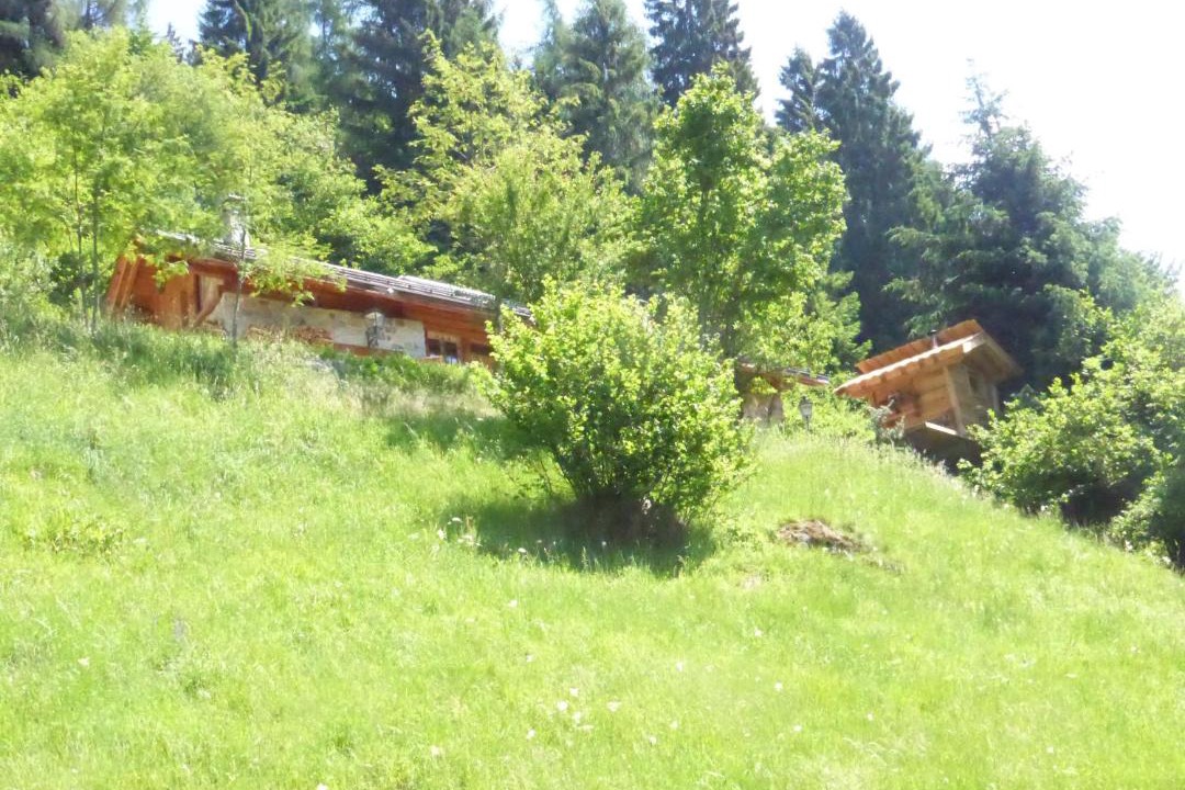 Photo of Others in Telve